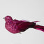 Calypso Clip on Bird Set of 3 Fuchsia