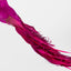 Ellou Clip on Bird Fuchsia