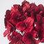 Opulence Velvet Hydrangea Flower Clip On Red