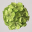 Glitter Hydrangea Bauble Green