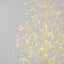 Bare Forest Tree with 210cm 3000 LED White