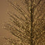 Forest Tree 180cm with 2000 LED Black
