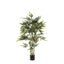 Bamboo Tree 1.2m