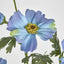 Cosmos Spray 85cm Blue - Pack of 36
