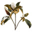Magnolia Bud 60cm White