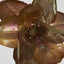 Luxe Metallic Clip On Magnolia Flower Old Gold