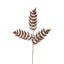 Dried Fern Leaf Stem Natural