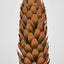 Pinecone Candle Stand 15cm
