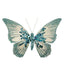 Amora Clip on Butterfly Peacock Blue