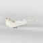 Flutter Clip on Bird White (Set of 6)
