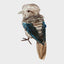 Kookaburra Large