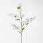 Cherry Blossom Stem White Pink