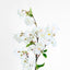 Cherry Blossom Stem White Pink