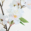 Cherry Blossom Stem White Pink