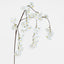 Trailing Cherry Blossom Stem White - Pack of 12