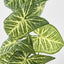 Variegated Taro Leaf Garland