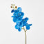 Phalaenopsis Spray Electric Blue