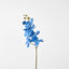 Phalaenopsis Spray Electric Blue