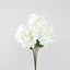 Hydrangea Bush White