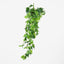 Hanging Pothos Spray