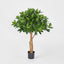 Sweet Link Tree 90cm