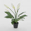 Real Touch Potted Spathiphyllum Bush 61cm (Set of 6)