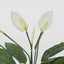 Real Touch Potted Spathiphyllum Bush 61cm (Set of 6)