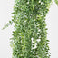Baker Fern Vine Hanging 67CM Green