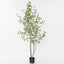 Real Touch Eucalyptus 200cm