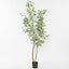 Real Touch Eucalyptus 200cm