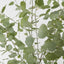 Real Touch Eucalyptus 200cm