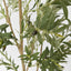 Verdant Olive Tree 180cm