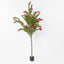 Potted Bottlebrush 190cm