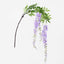 Lavender Wisteria by 3