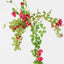 Bougainvillea Bush Fuchsia Hanging