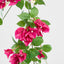 Bougainvillea Garland Fuchsia