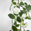 Rose Garland 170cm White