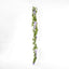 Wisteria Garland Purple