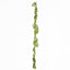 Wisteria Garland White