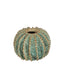 Spiked Cactus Ceramic Moss Vase Green