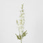 Delphinium 85cm White - Pack of 12
