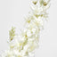 Delphinium 85cm White - Pack of 12