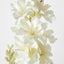 Delphinium 85cm White - Pack of 12