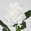 Walter Real Touch Rose Stem Winter White
61cm - Pack of 24