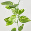 Pothos Leaf Garland Green