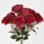 Rose Bouquet x 9 Red
