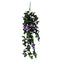 Hanging Rose Bush Purple