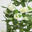 Hanging Rose Bush White