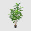 FICUS AUDREY TREE 91CM