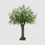 3m Giant Olive Tree w/19278 Lvs 324 Fruits